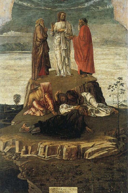 Antonello da Messina The Dead Christ France oil painting art